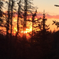 San Isabel National Forest