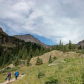 Uncompahgre National Forest