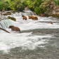 Katmai National Park & Preserve