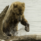 Katmai National Park and Preserve