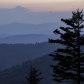 Great Smoky Mountains National Park