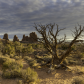 Arches National Park