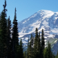 Mount Rainier National Park