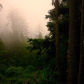 Cape Meares National Wildlife Refuge