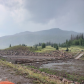 Rio Grande National Forest