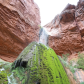 Grand Canyon National Park