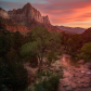 Zion National Park