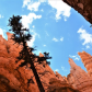 Bryce Canyon National Park
