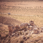 Dinosaur National Monument