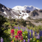 Mount Rainier National Park