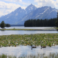 Grand Teton National Park