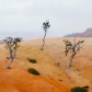 Bryce Canyon National Park