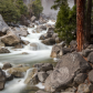 Yosemite National Park