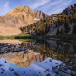 Inyo National Forest