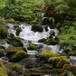 Olympic National Park
