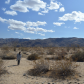 Joshua Tree National Park