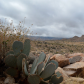 Joshua Tree National Park