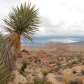 Joshua Tree National Park