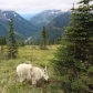 Glacier National Park