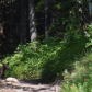 Glacier National Park