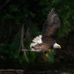 Katmai National Park & Preserve