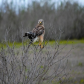 Everglades National Park 