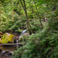 Great Smoky Mountains National Park