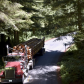 Redwoods National and State Parks