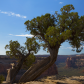 Colorado National Monument