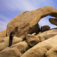 Joshua Tree National Park