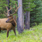 Grand Teton National Park