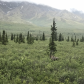 Denali National Park and Preserve