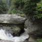 Pisgah National Forest