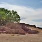 Aztec Ruins National Monument