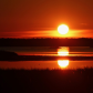 Blackwater National Wildlife Refuge