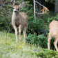 Rocky Mountain National Park