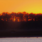 Blackwater National Wildlife Refuge
