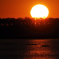 Blackwater National Wildlife Refuge