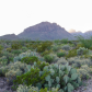 Big Bend National Park