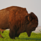 Badlands National Park