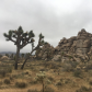 Joshua Tree National Park