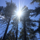 Sequoia National Park 