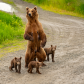 Katmai National Park & Preserve