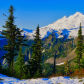 Mt. Baker-Snoqualmie National Forest
