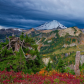 Mt. Baker-Snoqualmie National Forest
