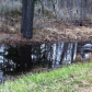 Blackwater National Wildlife Refuge