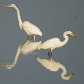 Bombay Hook National Wildlife Refuge