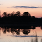 Blackwater National Wildlife Refuge