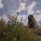 Mount Rainier National Park