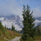 Mount Rainier National Park